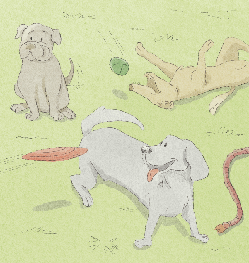 Art of Brian Moreira