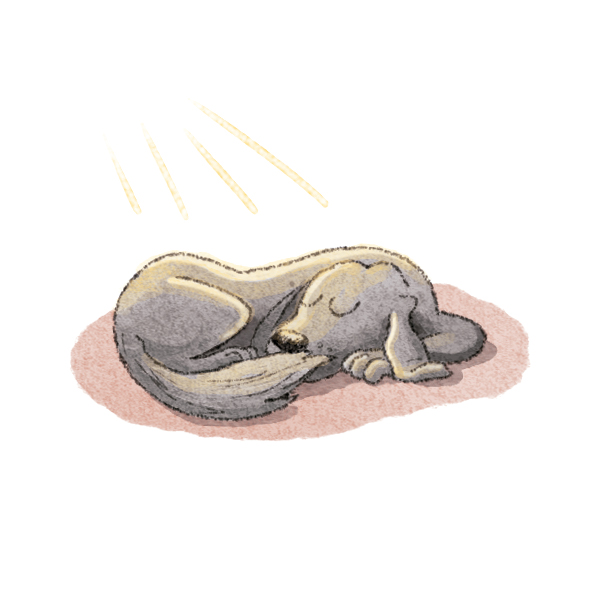 Art of Brian Moreira