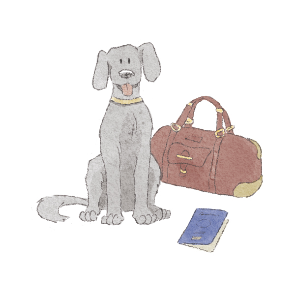 Art of Brian Moreira